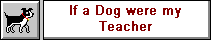 If a Dog were my Teacher