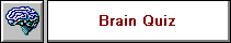 Brain Quiz